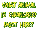 What Animal is Endangered Most Here?